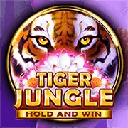 Hoàn trả Open88